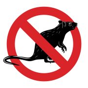Raton03