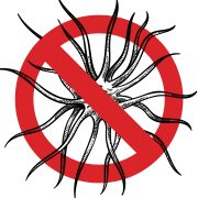 Virus03